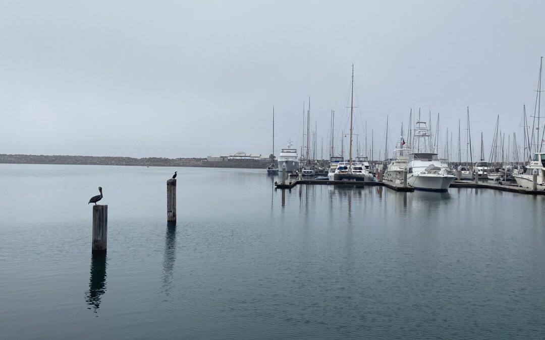 SE PREVÉN CIELOS PARCIALMENTE NUBLADOS CON TARDES SOLEADAS PARA LA ZONA URBANA DE ENSENADA